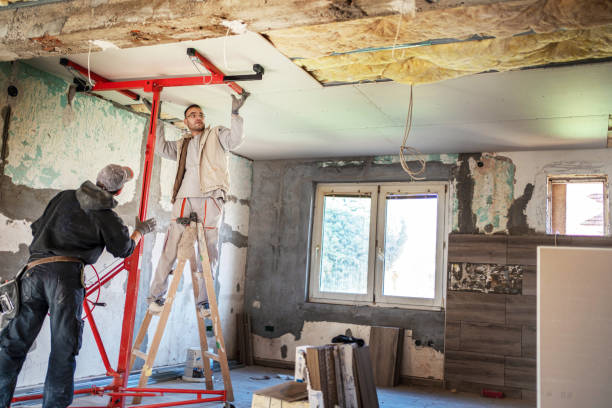 Best Insulation Maintenance and Repair in Mapleton, MN